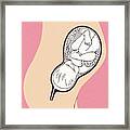 Baby In Womb Framed Print