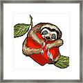 Baby Sloth Framed Print