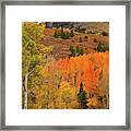 Backroad Fall Colors Near Telluride Co Framed Print