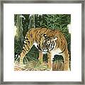 Bali Tiger Framed Print