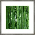 Bamboo Forest Framed Print