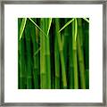 Bamboo Jungle Framed Print