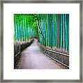 Bamboo Lined Pathway Framed Print