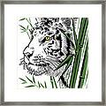 Bamboo Tiger Framed Print