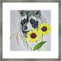 Bandit And The Sunflowers Framed Print