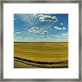 Barley Field Framed Print