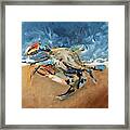 Beach Crab Framed Print
