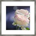 Beautiful And Soft Framed Print