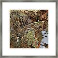 Beautiful Boulders In Red Point Wash Framed Print