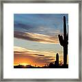 Beautiful Cactus Sunset Framed Print