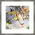 Beautiful Orange Stained Glass Kitty Framed Print
