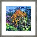 Beauty In The Forest Framed Print