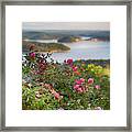 Beaver Lake Lookout Framed Print