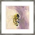 Bee On Lavender Framed Print