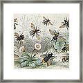 Bees In Colour Framed Print