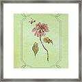 Bees Love Pink Framed Print