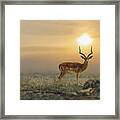 Behind The Sunset Framed Print