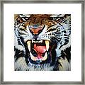 Bengal Tiger Panthera Tigris Tigris Framed Print