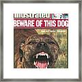 Beware Of This Dog Pit Bull Terrier Sports Illustrated Cover Framed Print