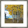 Beyond The Forest Edge Framed Print