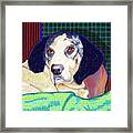 Big Brown Eyes Framed Print