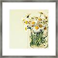 Big Bunch Of Camomile Flowers Framed Print