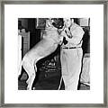 Big Dog On Mans Shoulder Framed Print