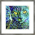 Binx The Stained Glass Cat Framed Print