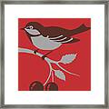 Bird Sitting In Cherry Tree Framed Print