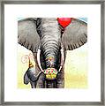 Birthday Elephant Framed Print