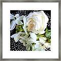 Birthday Rose And  Blossoms.    The Gift.. Framed Print