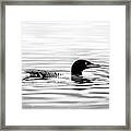 Black And White Loon Framed Print
