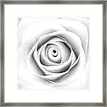 Black And White Paper Rose Framed Print