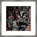 Black Cat Framed Print
