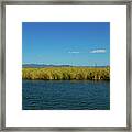 Black River Jamaica 4 Framed Print