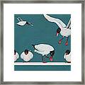 Black Seagulls On A Row Framed Print