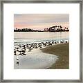 Black Skimmers And Georgia Coast Sunset - Tybee Island Framed Print