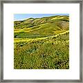 Blooming Hills Framed Print