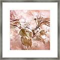 Blossom Framed Print