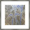 Blue Bamboo Framed Print