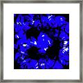 Blue Beauties Kaleidoscope Framed Print