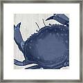 Blue Crab On Grey 4 Framed Print