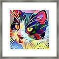 Blue Eye Spy Cat Framed Print