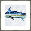 Blue Marlin Portrait Framed Print