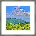 Blue Ridge Parkway, Virginia Framed Print