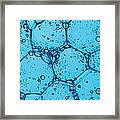 Blue Soap Bubbles In Cose Up Framed Print