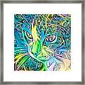 Blue Spaghetti String Kitty Framed Print