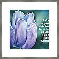 Blue Tulip With Scripture Framed Print
