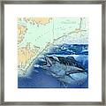 Bluefin Chart Framed Print