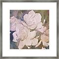 Blush Gardenia Beauty I Framed Print